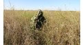 Маскировочный халат Taganrog Кикимора – купить по цене 3550 руб. в интернет-магазине в городе Ижевск картинка 13